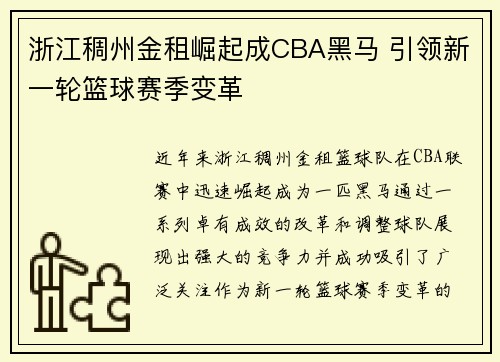 浙江稠州金租崛起成CBA黑马 引领新一轮篮球赛季变革